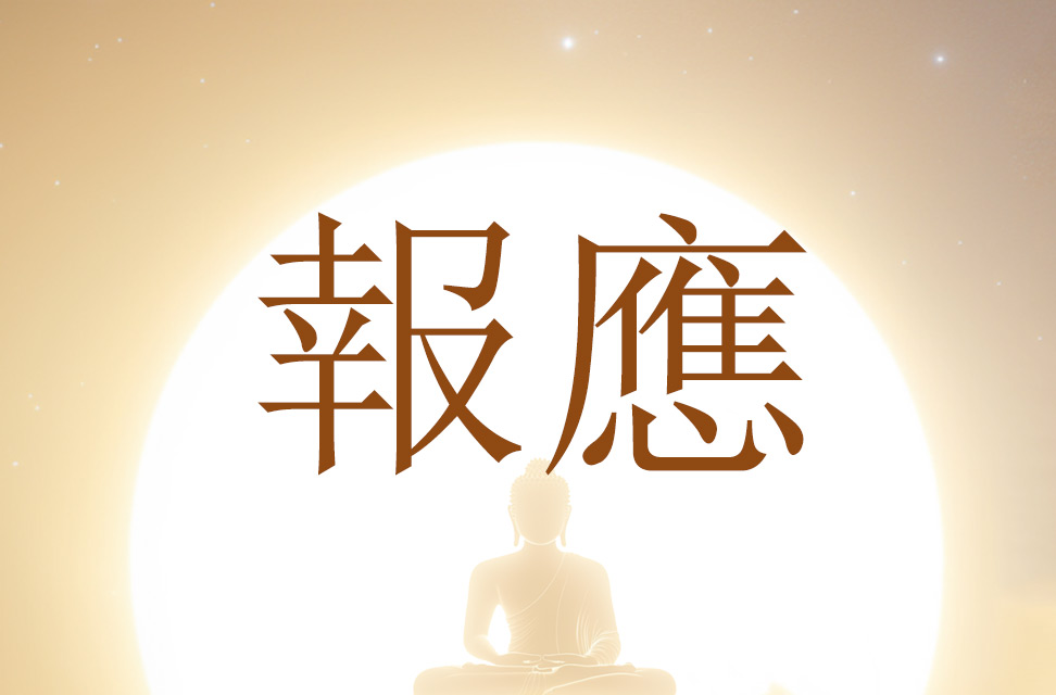 報應 2025-05-24